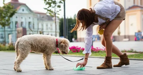 Dog Poop Cleanup Service