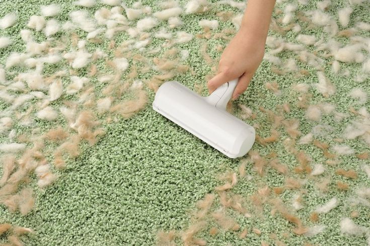 The Complete Guide to Eliminating Tough Odors From Carpets, Upholstery, and Fabric Furniture at Home